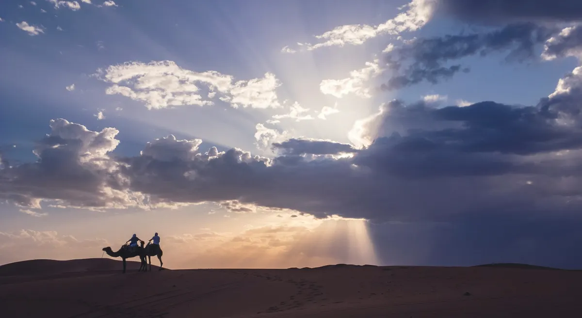 Camellos en las dunas de Merzouga